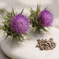 Milk Thistle — standardized to 80% silymarin